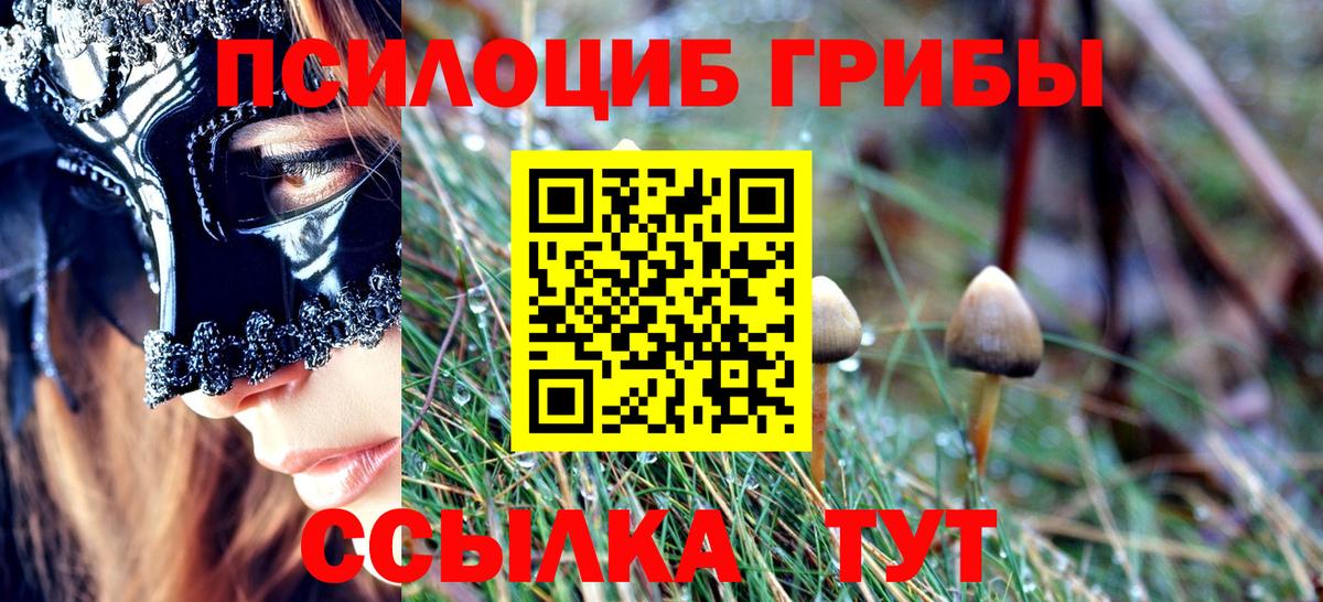 Псилоцибиновые грибы Cubensis Ялуторовск