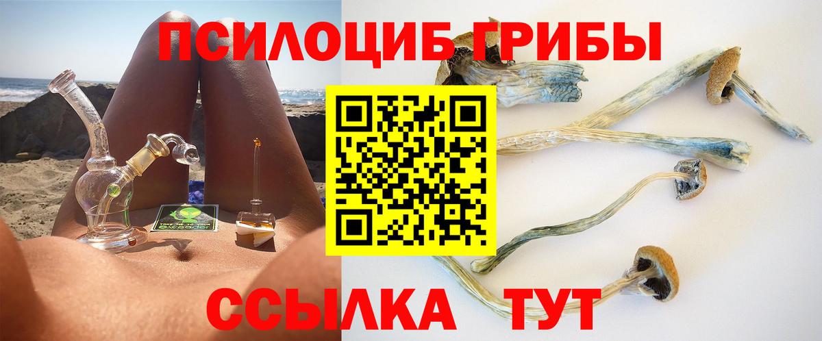 Галлюциногенные грибы Magic Shrooms  Вход с VPN  Ялуторовск  Псилоцибиновые грибы Psilocybe 